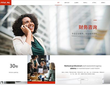 新兴金融财务